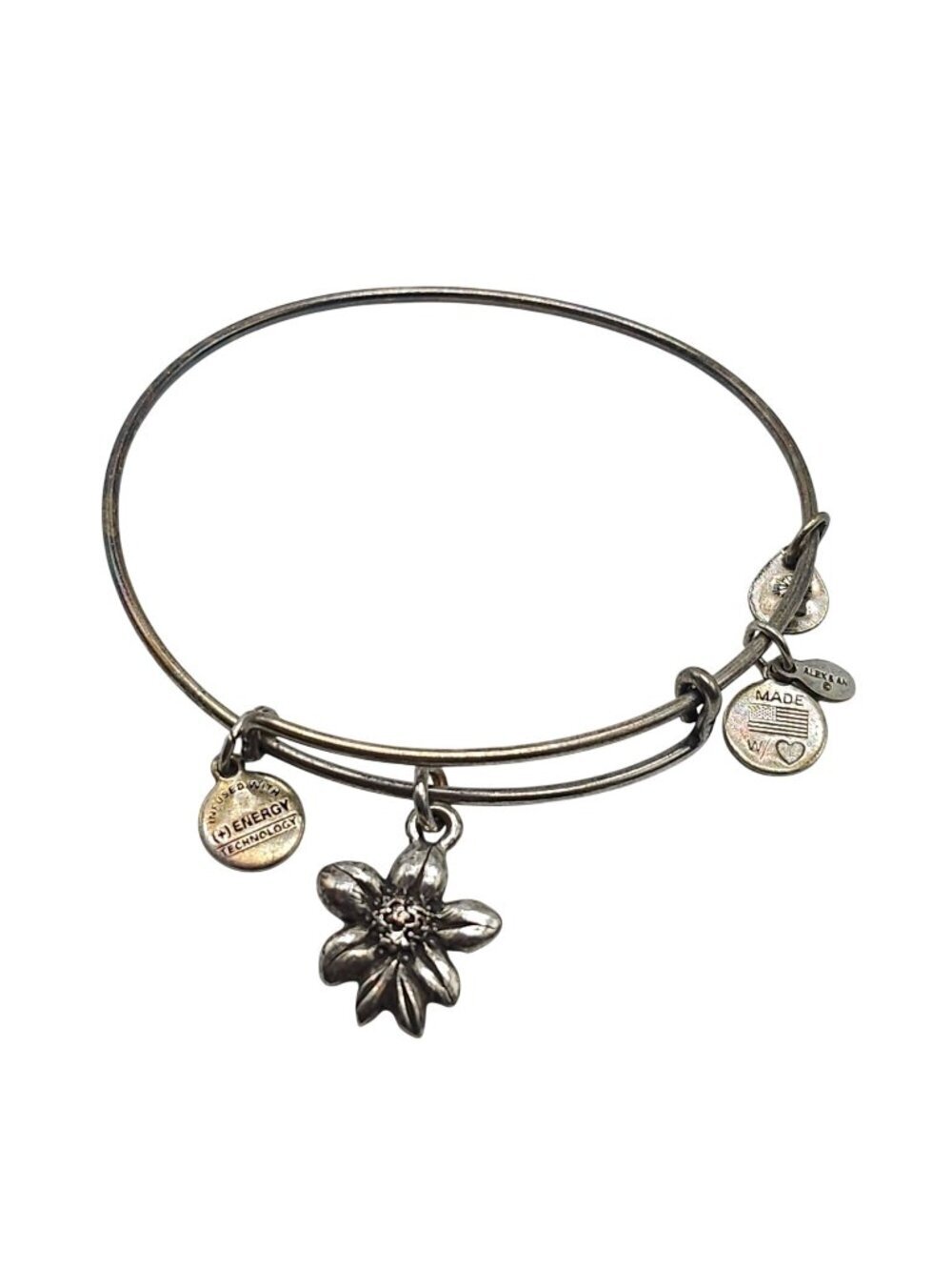 Alex & Ani Silver-Tone Sacred Garden Apple Blossom Charm Bangle Bracelet